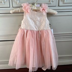 NWT fancy pink Nannette dress.
